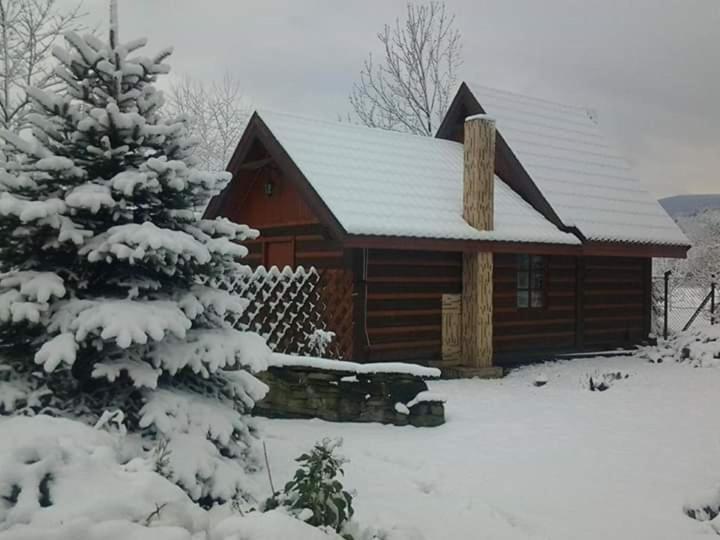 Agroturystyka W Ogrodach Sanok Esterno foto