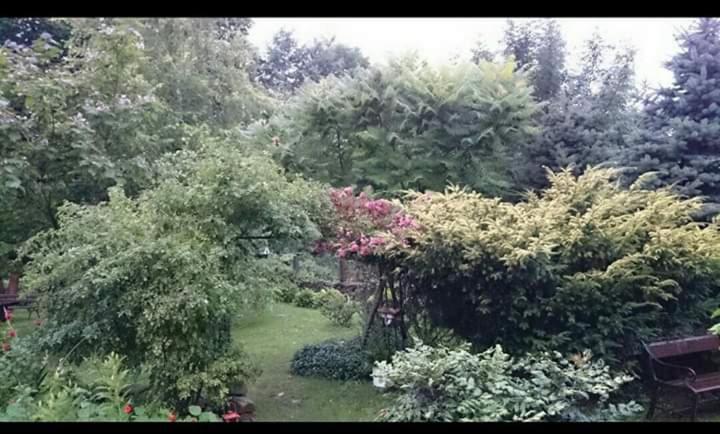 Agroturystyka W Ogrodach Sanok Esterno foto