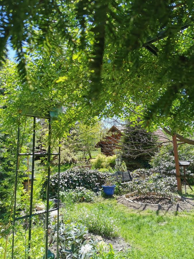 Agroturystyka W Ogrodach Sanok Esterno foto